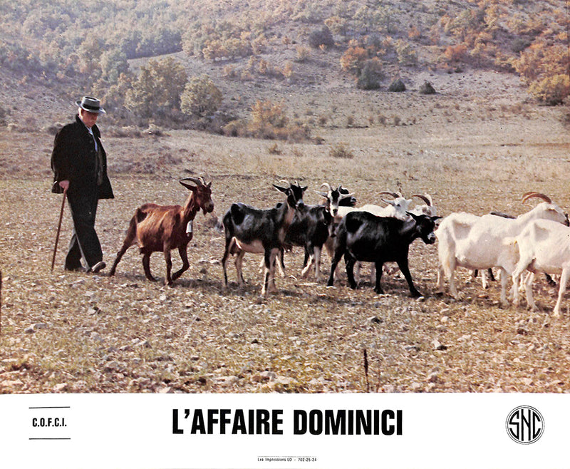 L'AFFAIRE DOMINICI